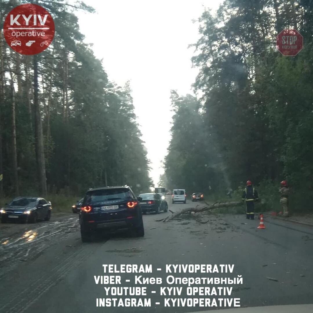 Фото: Киев Оперативный