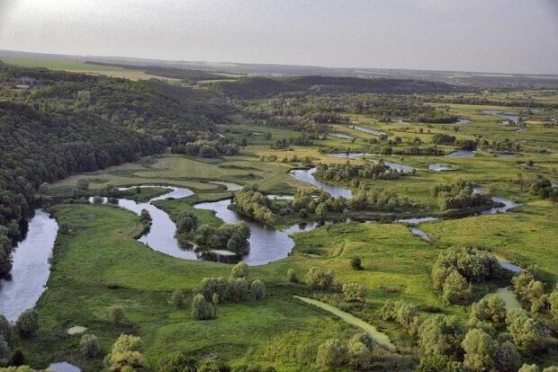 Злочини, вчинені у земельній сфері: результати роботи органів прокуратури за 2020 рік