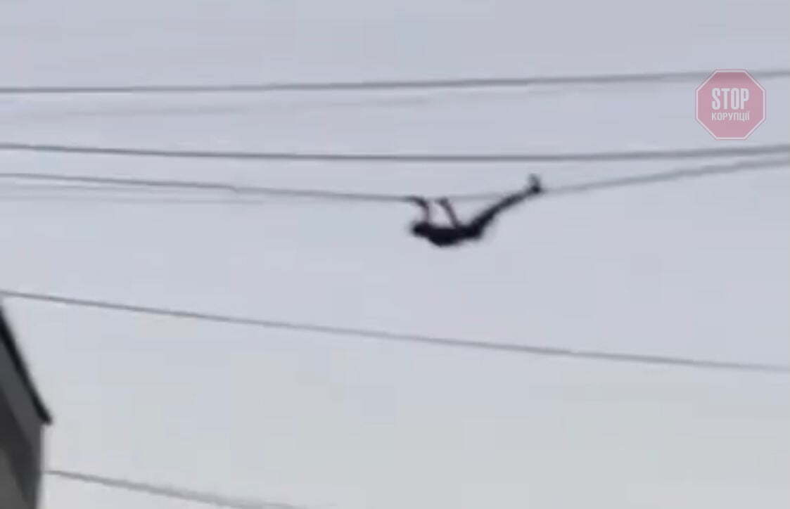  Фото: скріншот