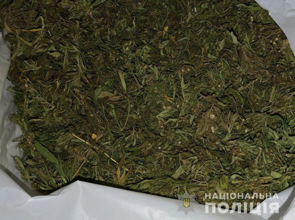 Поліцейські вилучили у жителя Краматорська близько 2 кг марихуани