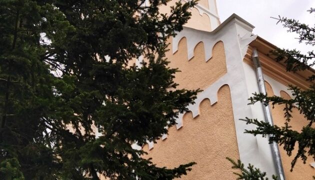     					    				    			        Ялинки / Фото: Олександр Коваль			    						                    			                                			                                			                                			                                			                                			                                			            