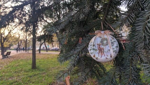     					    				    			        Ялинки / Фото: Олександр Коваль			    						                    			                                			                                			                                			                                			                                			                                			            