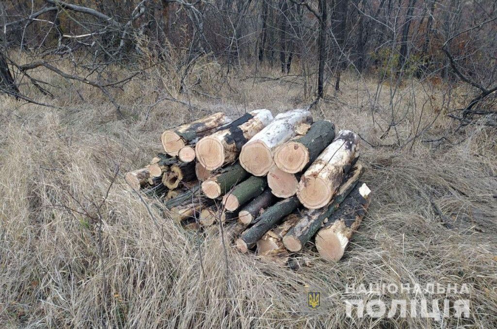 Поліцейські Маріуполя припинили незаконну вирубку дерев