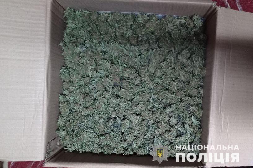 У жителя Волновахи поліцейські вилучили марихуани на суму близько одного мільйона гривень