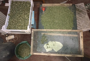 Правоохоронці Запорізької області вилучили у громадянина 2,5 кг наркотиків (ФОТО)