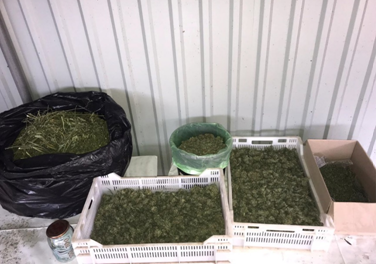 Правоохоронці Запорізької області вилучили у громадянина 2,5 кг наркотиків (ФОТО)