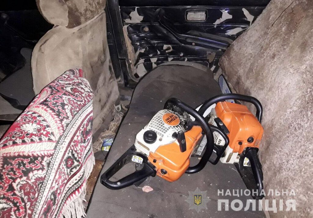 На Донеччині оперативники викрили злочинну групу лісорубів, які завдали природі шкоди на понад пів мільйона гривень