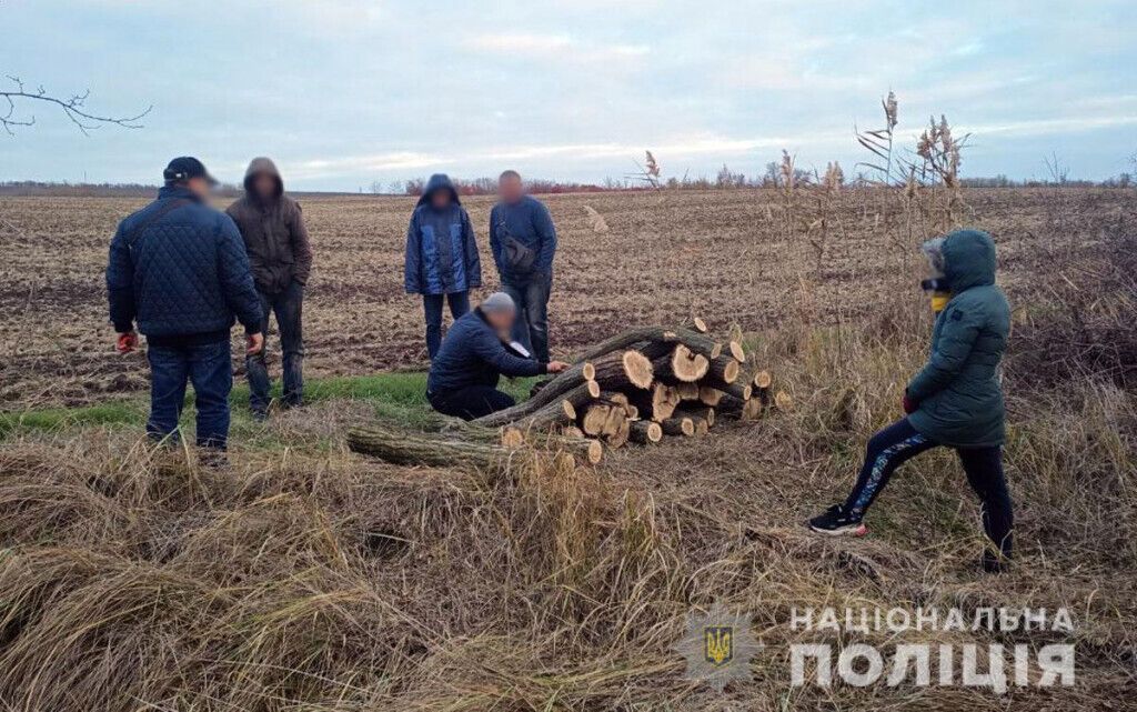 На Донеччині оперативники викрили злочинну групу лісорубів, які завдали природі шкоди на понад пів мільйона гривень
