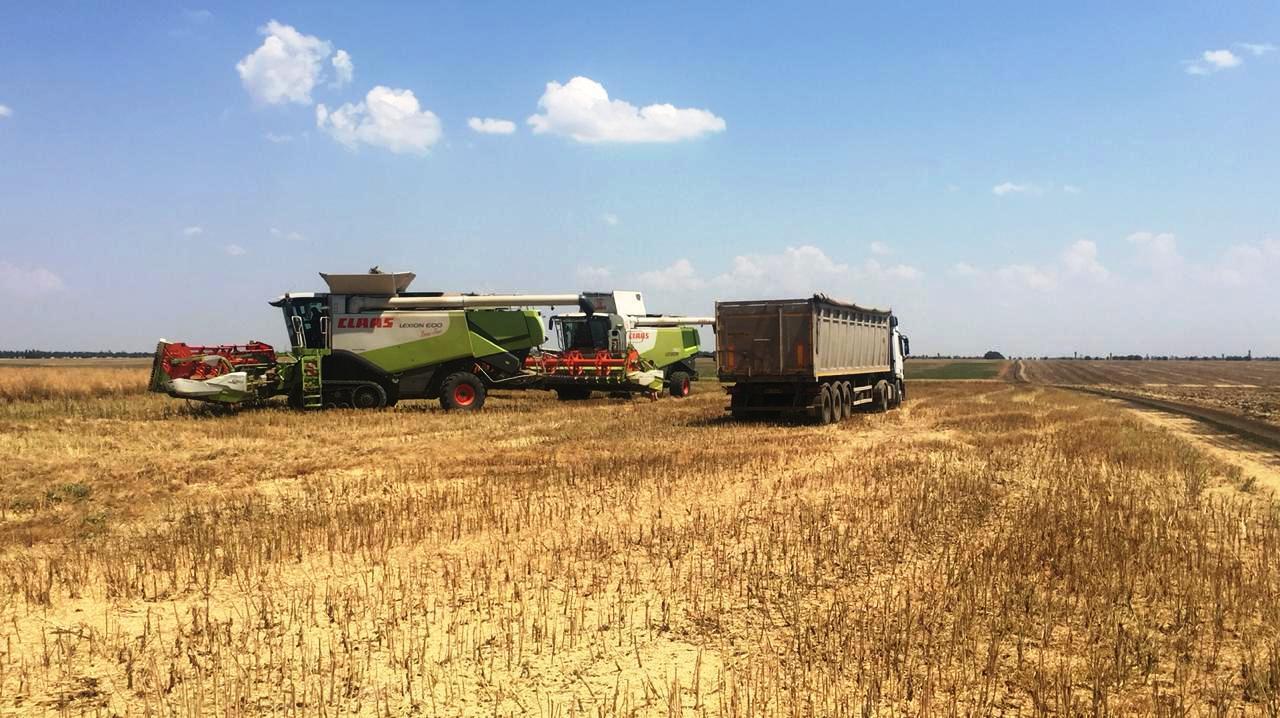 Збитки на 19 млн грн – на Запоріжжі підозрюється директор держпідприємства Національної академії аграрних наук України (ФОТО)