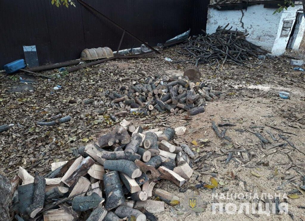 На Донеччині оперативники викрили злочинну групу лісорубів, які завдали природі шкоди на понад пів мільйона гривень