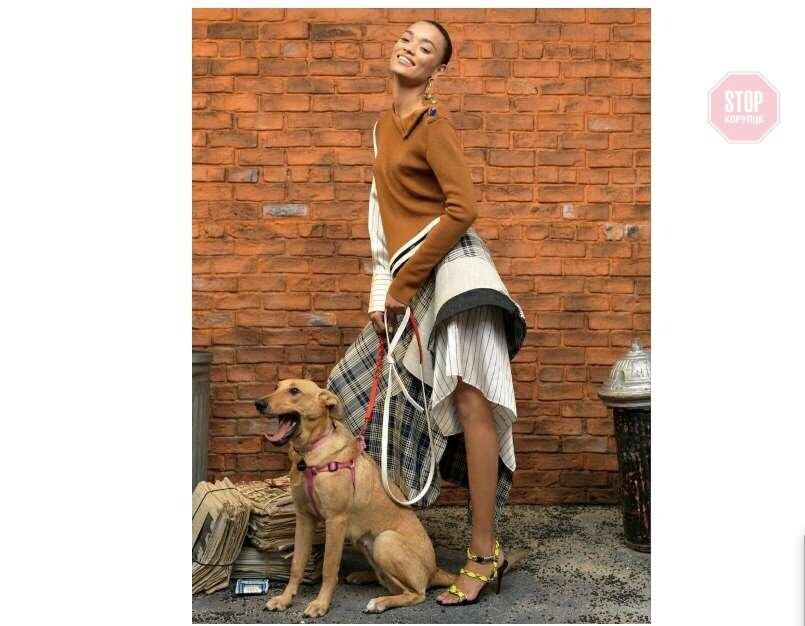 Безпритульна собака із Запорізької області стала моделлю в ''Vogue'' (фото, відео)