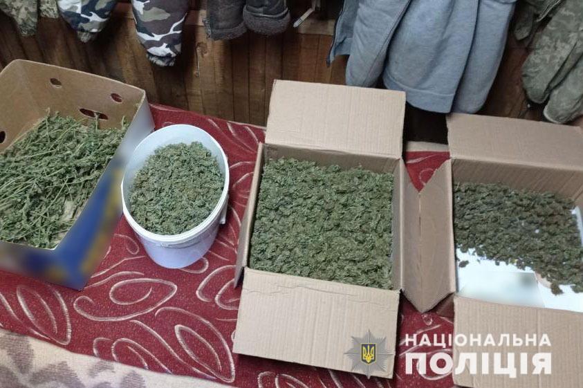 У жителя Волновахи поліцейські вилучили марихуани на суму близько одного мільйона гривень