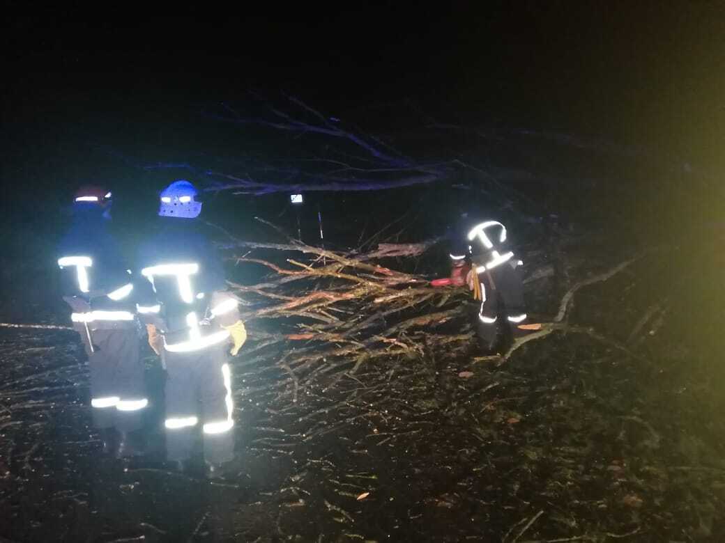 Івано-Франківська область: рятувальники розчищали проїжджу частину дороги від дерев, що впали