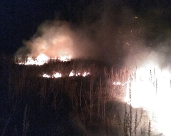 Львівська область: вогнеборці ліквідували пожежу сухої рослинності