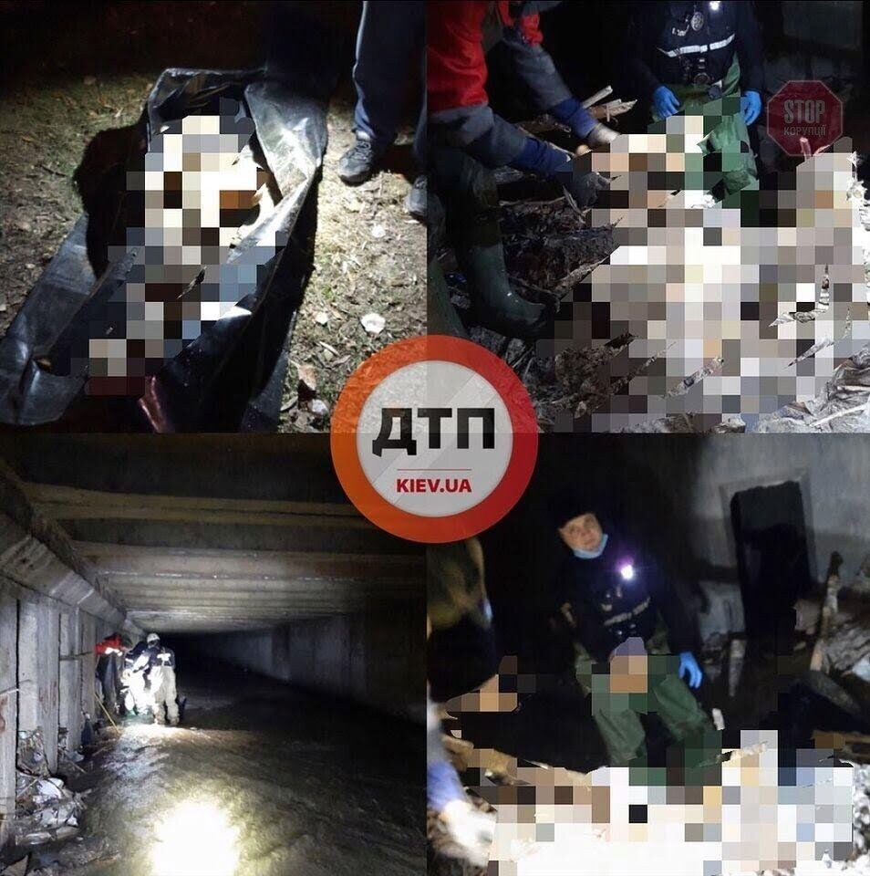  Фото: dtp.kiev.ua
