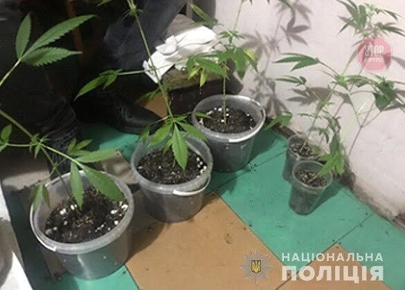  Фото: Нацполіція