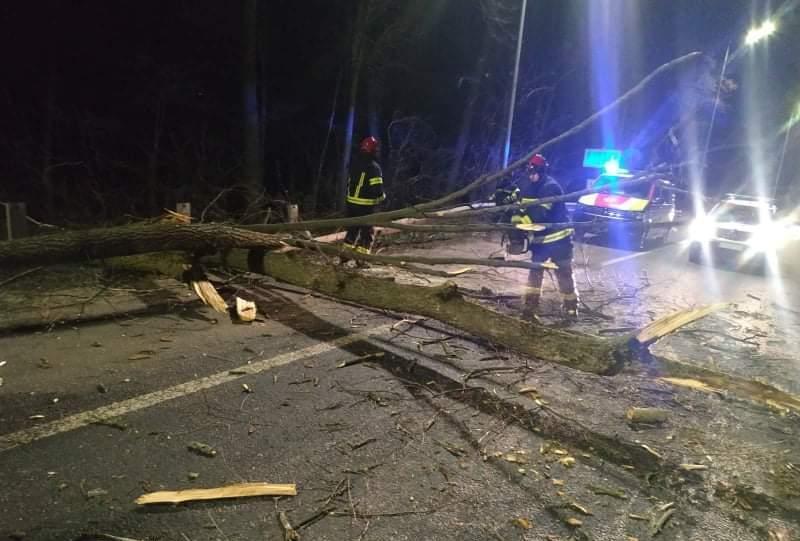 Вінницька область: рятувальники прибрали з автошляху повалене вітром дерево