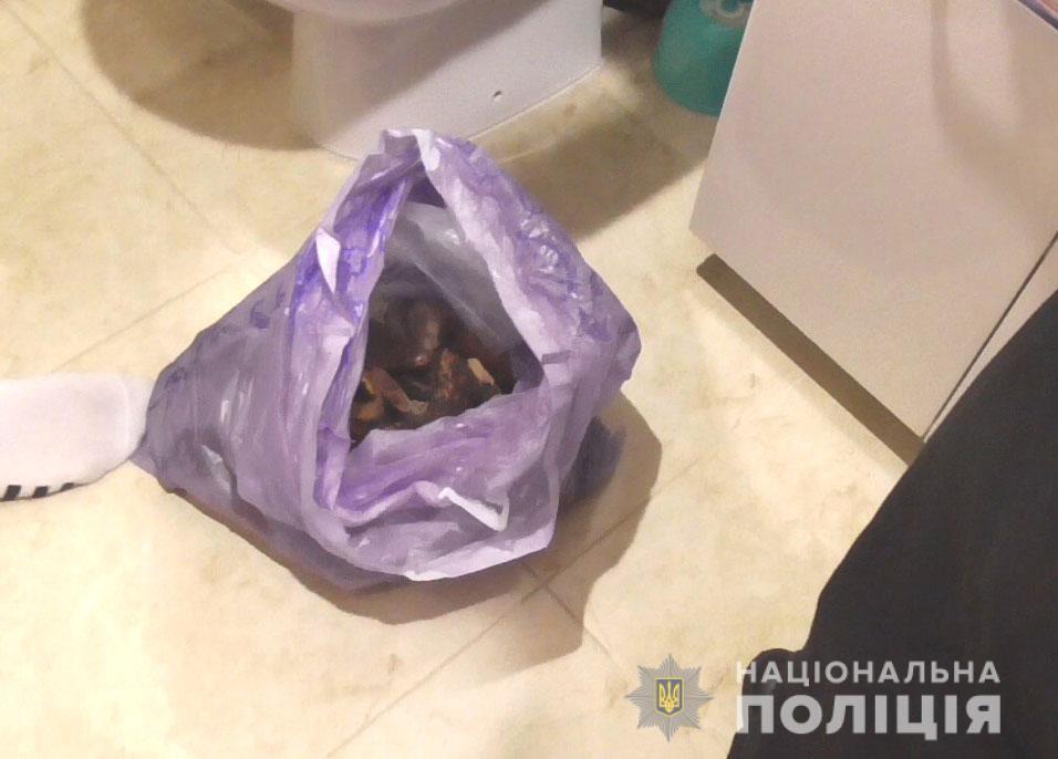 На Рівненщині поліцейські вилучили  майже дев’ять кілограмів бурштину