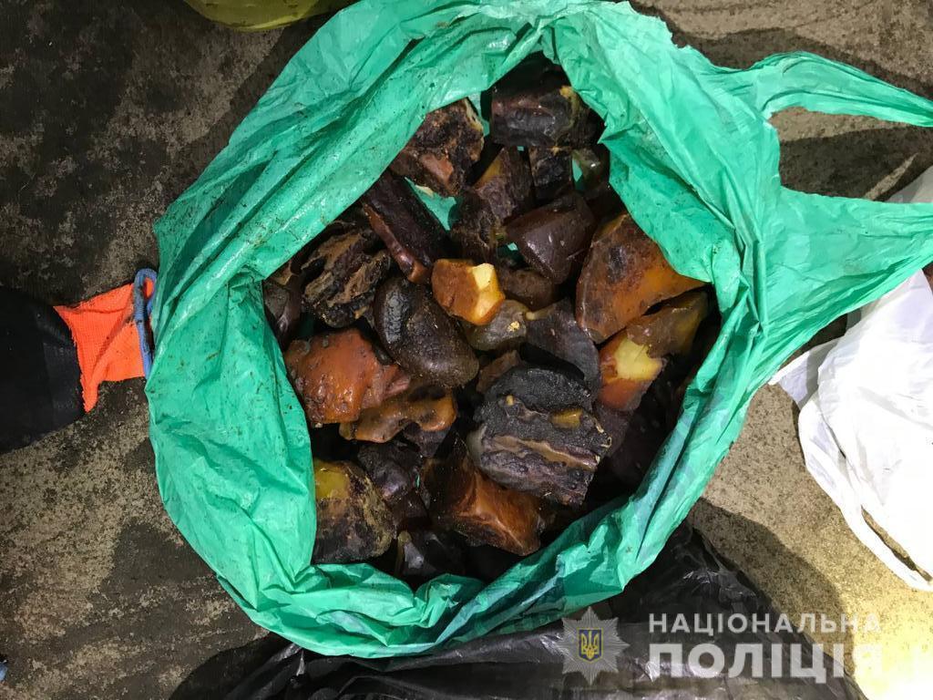 На Рівненщині під час обшуків поліцейські вилучили каміння бурштину-сирцю майже на 30 тисяч доларів США