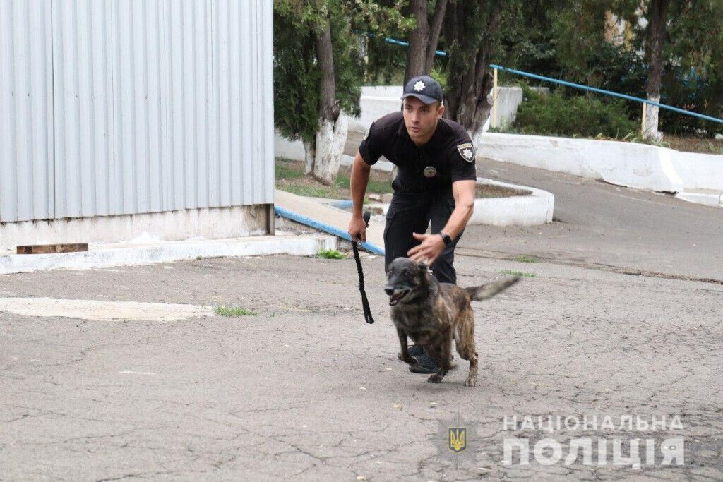 Знайшли злочинця по шапці ''Діда Мороза'': як працювали службові собаки поліції Донеччини в 2020 році