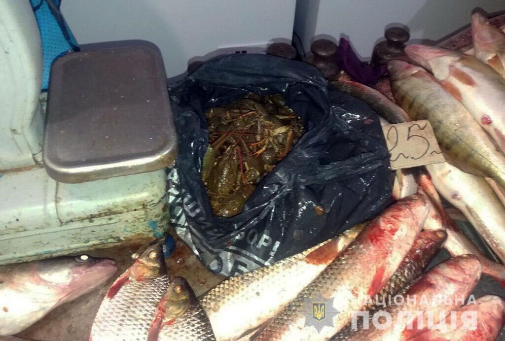 В Маріуполі поліцейські викрили факт незаконної торгівлі рибою