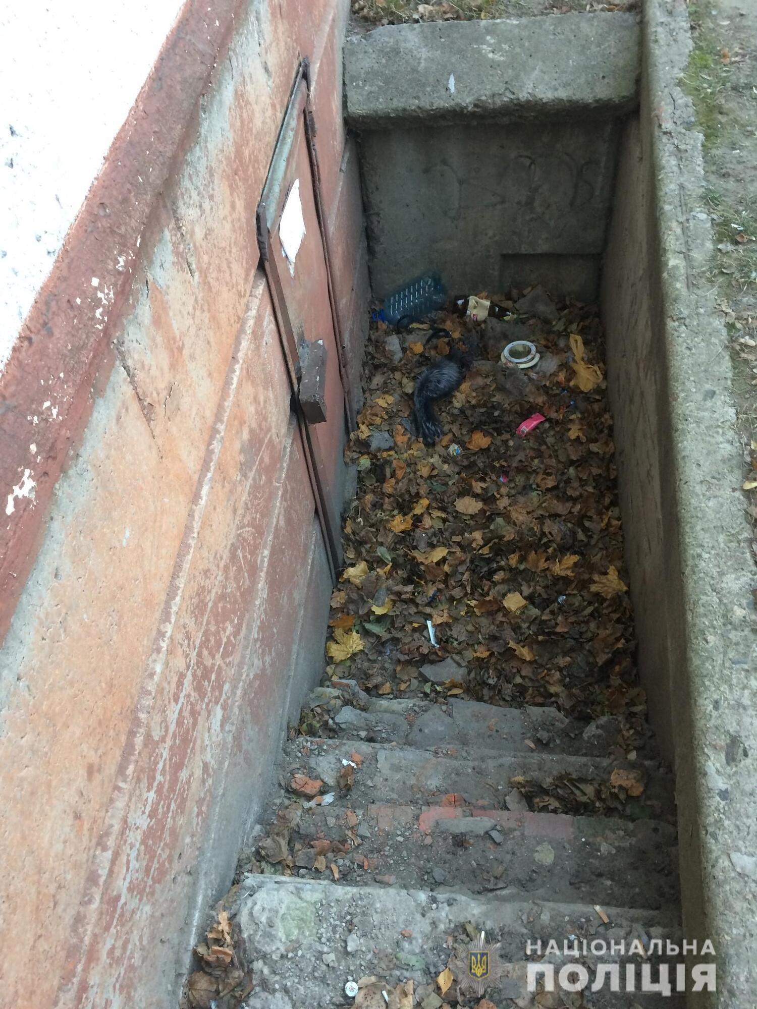 У Харкові поліція затримала чоловіка, який скоїв розбійний напад на літню жінку та зґвалтував її