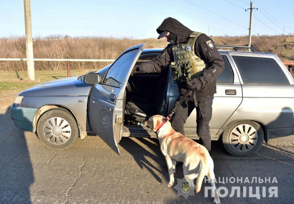 Правоохоронці Донеччини провели відпрацювання прифронтового Чермалика (ВІДЕО)