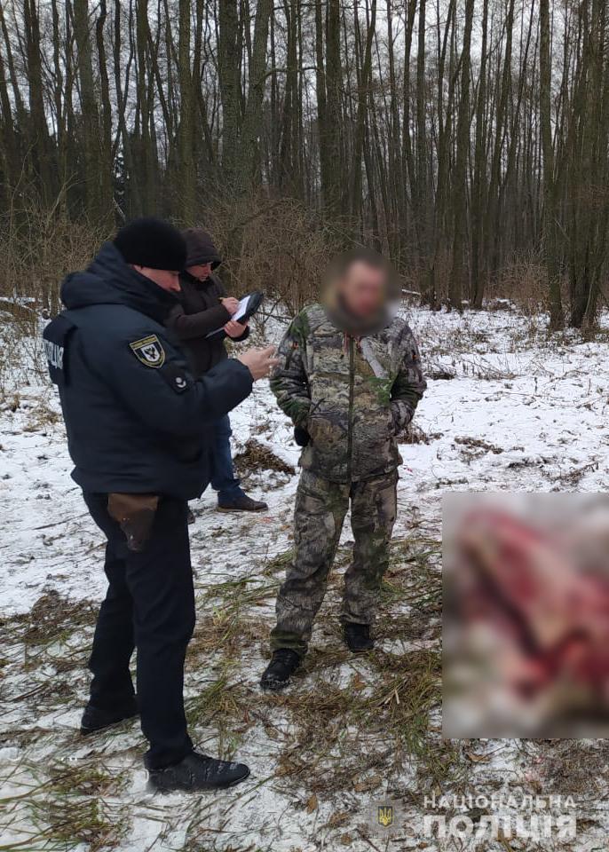 Поліція Чернігівщини затримала чоловіка, який вбив червонокнижну лосиху