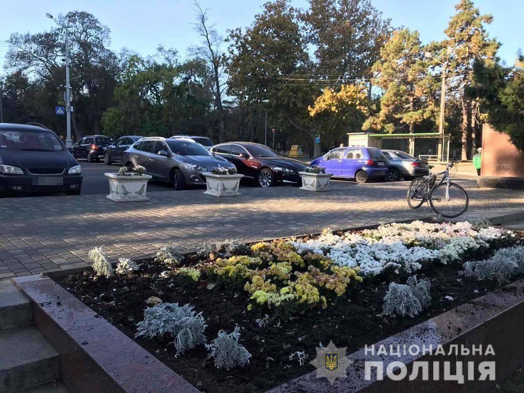 В Одесі правоохоронці затримали двох чоловіків, які викрали з Алеї Слави декоративні рослини