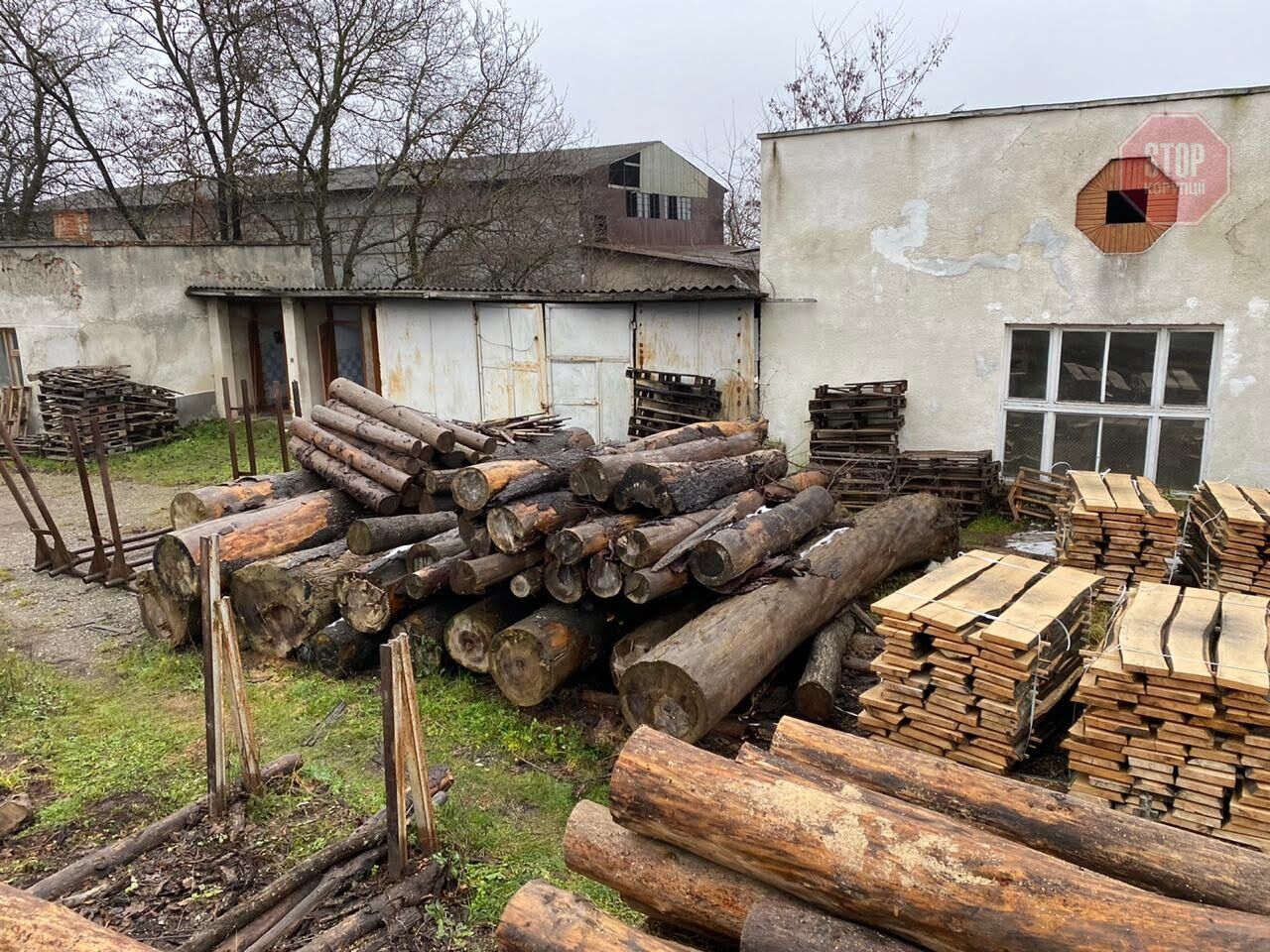  Деревина зберігається на території ДП Фото: СтопКор