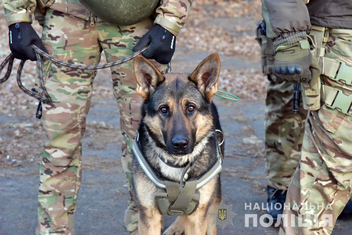 Правоохоронці Донеччини провели відпрацювання прифронтового Чермалика