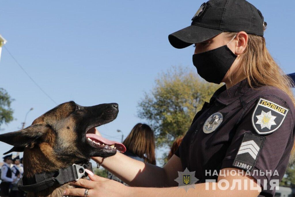 Знайшли злочинця по шапці ''Діда Мороза'': як працювали службові собаки поліції Донеччини в 2020 році