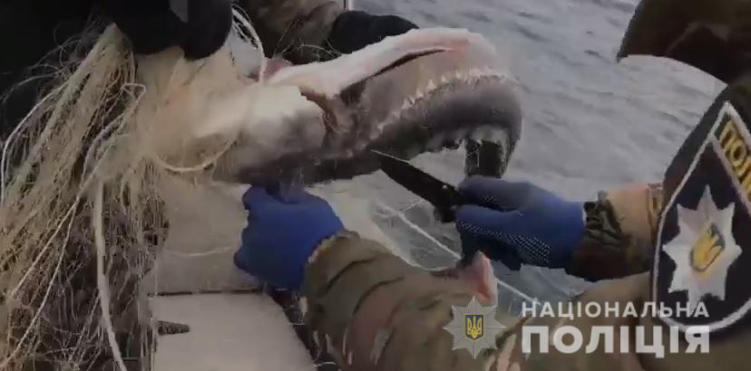 На Херсонщині водна поліція запобігла вилову водних ресурсів на понад мільйон гривень