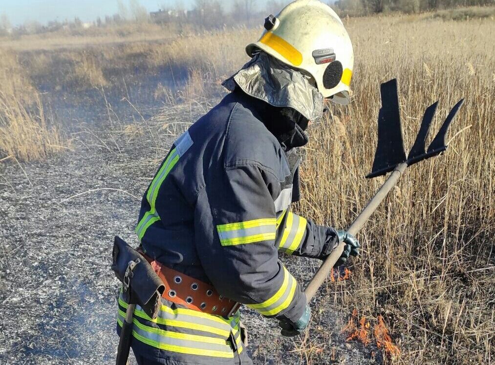 Дніпропетровська область: рятувальники ліквідували пожежу в природній екосистемі