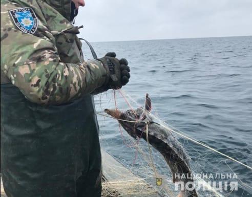 На Херсонщині водна поліція запобігла вилову водних ресурсів на понад мільйон гривень