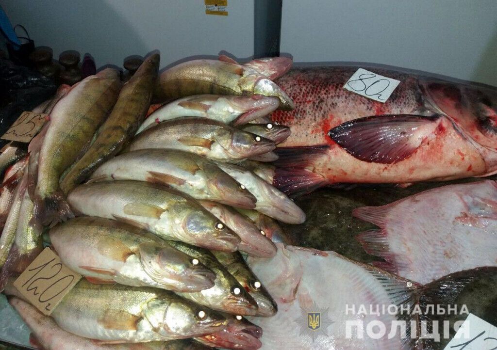 В Маріуполі поліцейські викрили факт незаконної торгівлі рибою