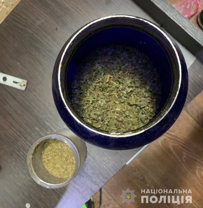В Одесі поліцейські викрили місцевого чоловіка у незаконному вирощуванні конопель та виготовленні канабісу
