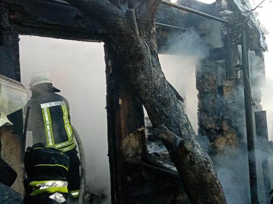 Запорізька область: рятувальники ліквідували пожежу на території приватного домоволодіння