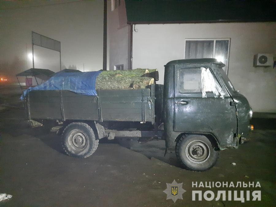 Поліцейські встановлюють походження деревини, яку перевозив подільчанин