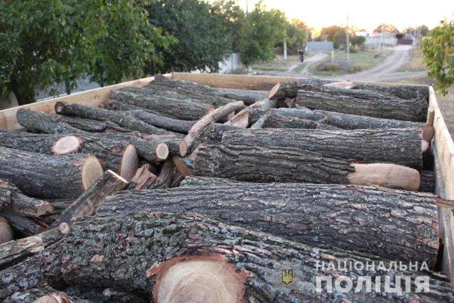 Подільські поліцейські притягують до відповідальності місцевого мешканця за незаконну порубку та перевезення дерев