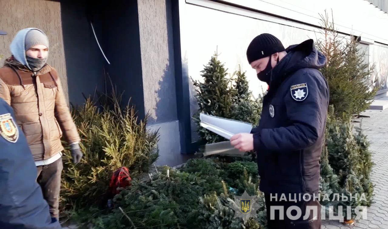 Поліцейські Одещини перевіряють продавців хвойних дерев на дотримання законодавства