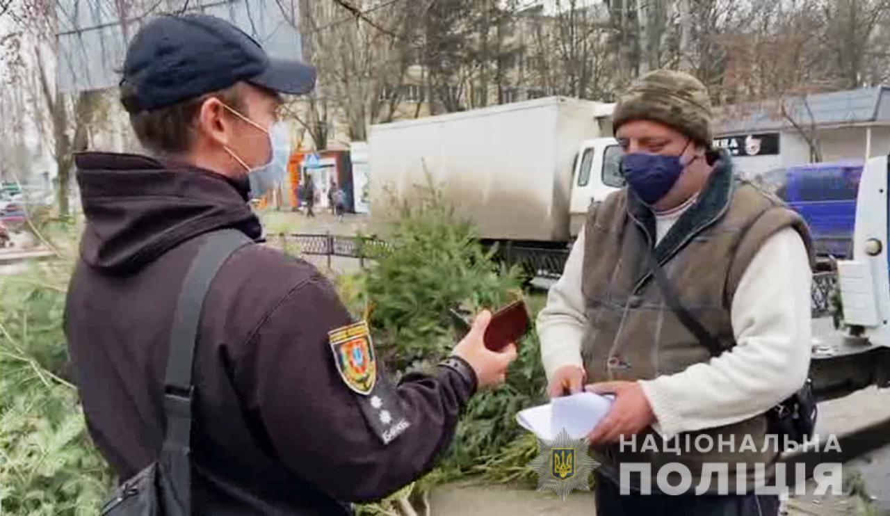 Поліцейські Одещини перевіряють продавців хвойних дерев на дотримання законодавства