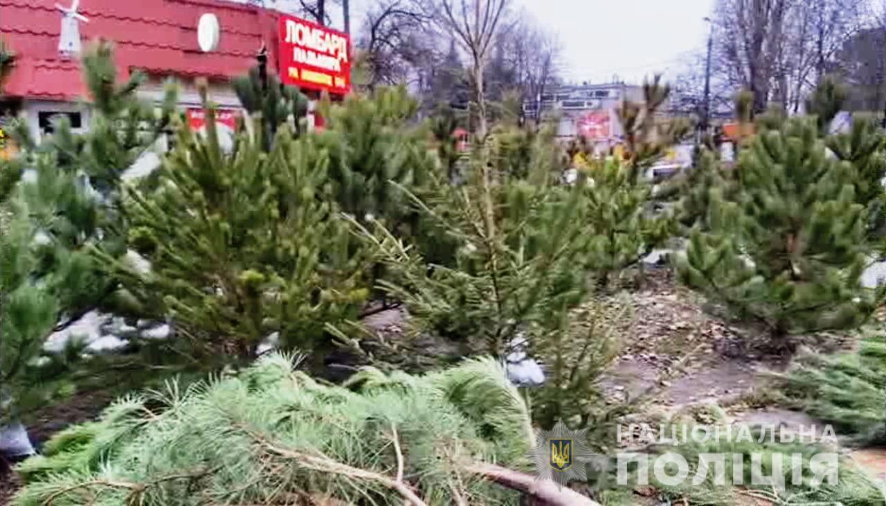 Поліцейські Одещини перевіряють продавців хвойних дерев на дотримання законодавства