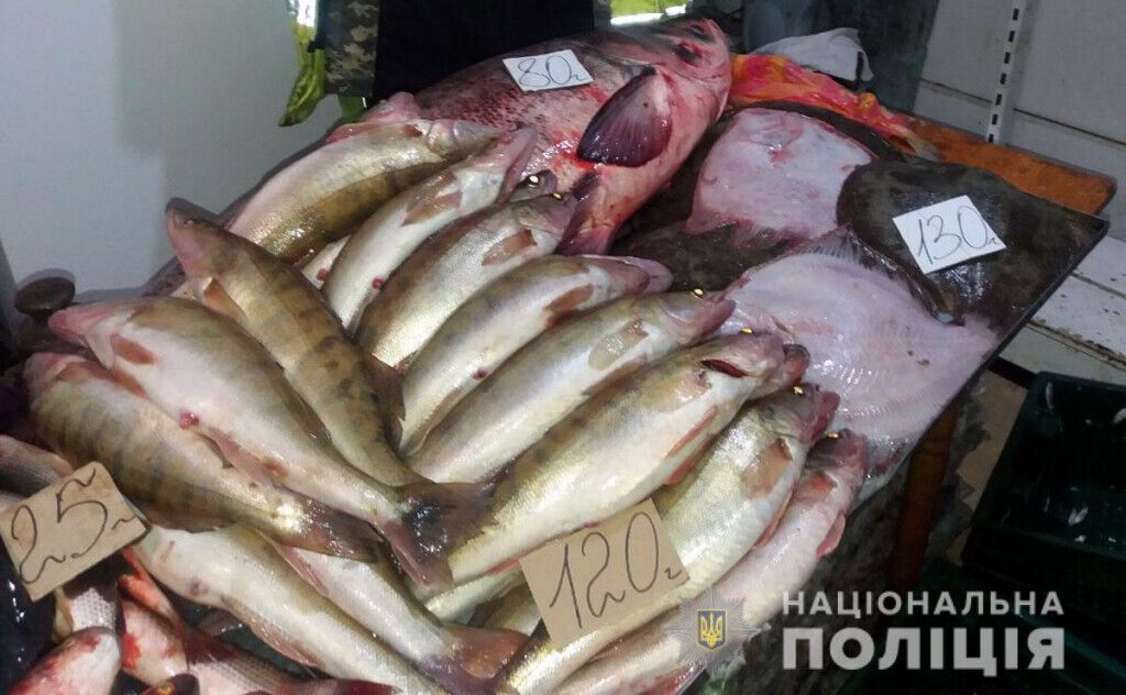 В Маріуполі поліцейські викрили факт незаконної торгівлі рибою