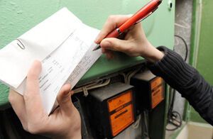 ''Київобленерго'': люди і свині