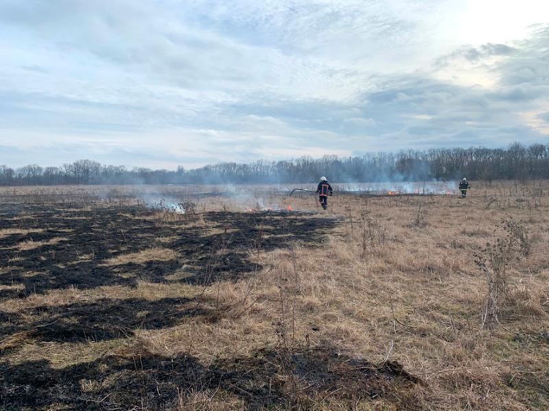Полтавська область: рятувальники ліквідували пожежу на відкритій території