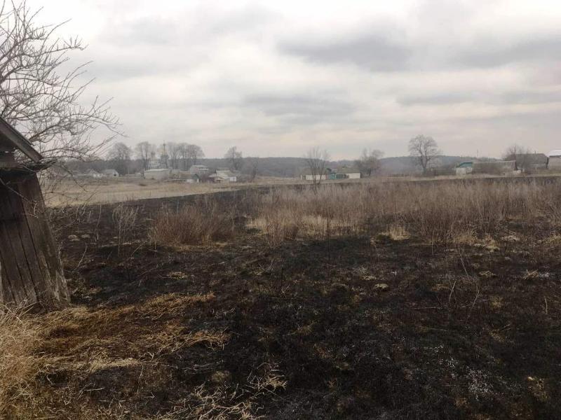 Житомирська область: вогнеборці ліквідували загоряння сухостою, полум’я з якого ледь не перекинулось на дім