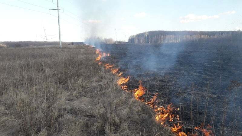 Вінницька область: рятувальники ліквідували загоряння сухої рослинності
