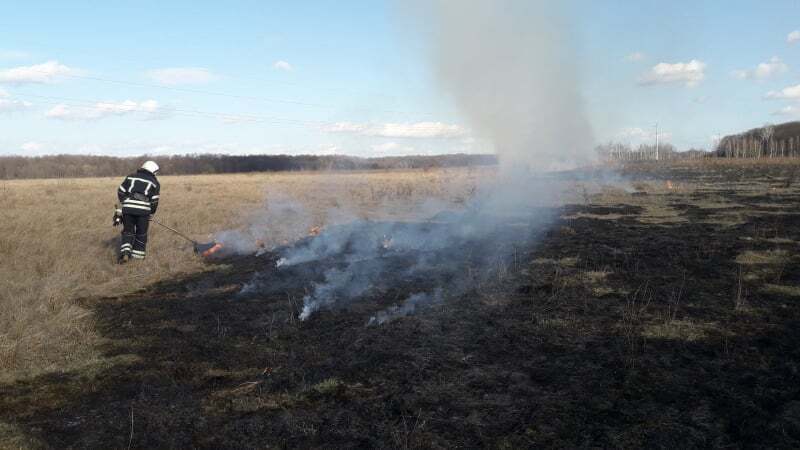 Вінницька область: рятувальники ліквідували загоряння сухої рослинності