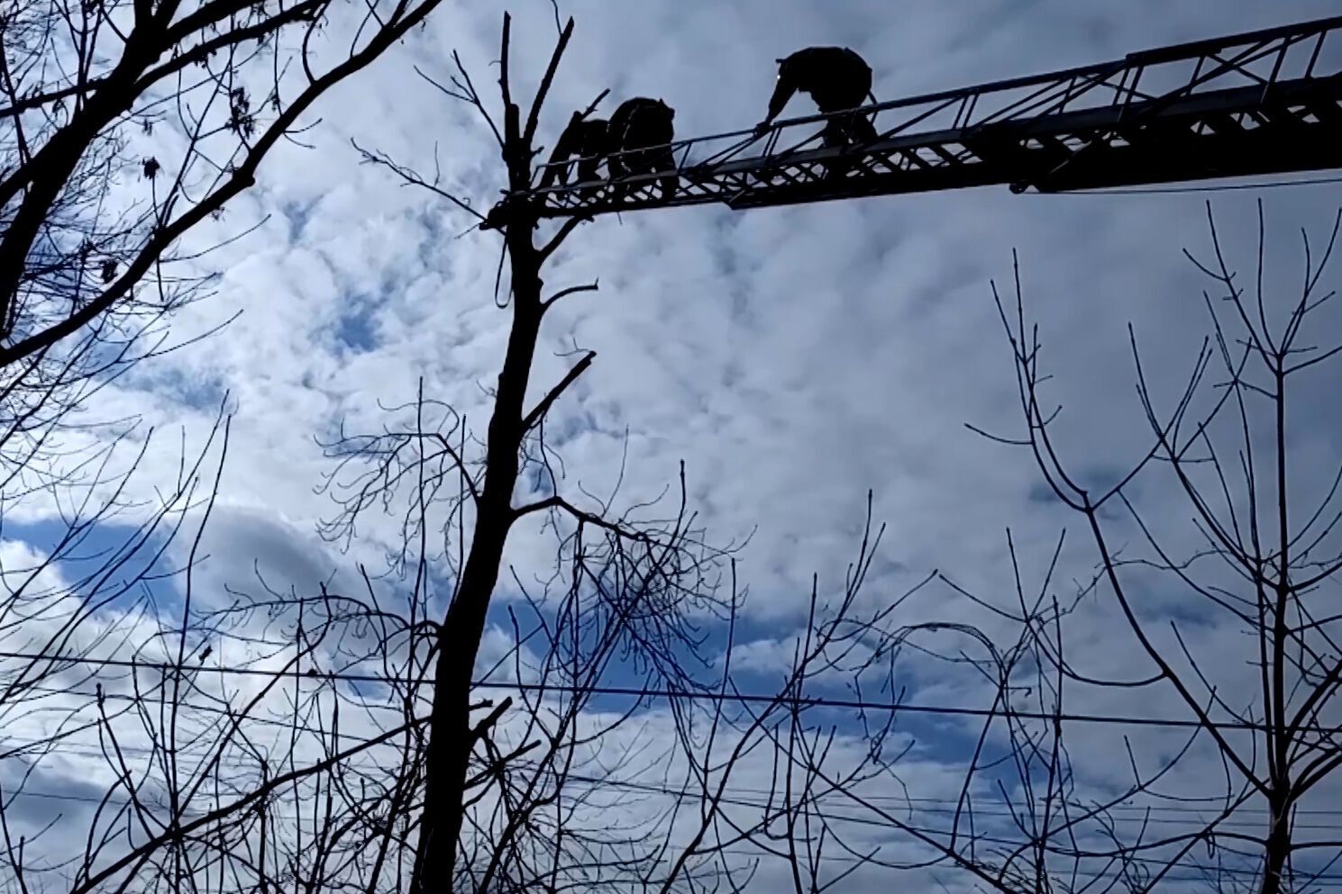 Хмельницький: надзвичайники врятували травмованого чоловіка з високого дерева (ВІДЕО)